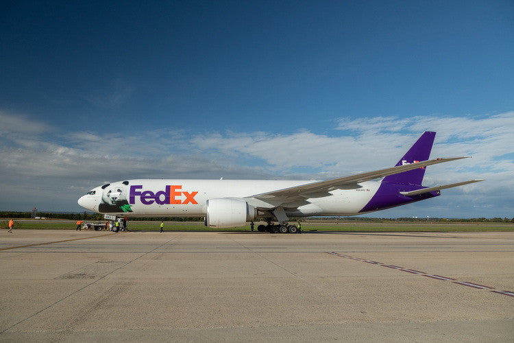 04625 | Phoenix 1:400 | Boeing 777-FS2 FedEx Panda N893FD | is due January 2025