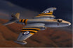 English Electric Canberra B.6 RAF WT370 die-cast model aircraft in 1:72 scale