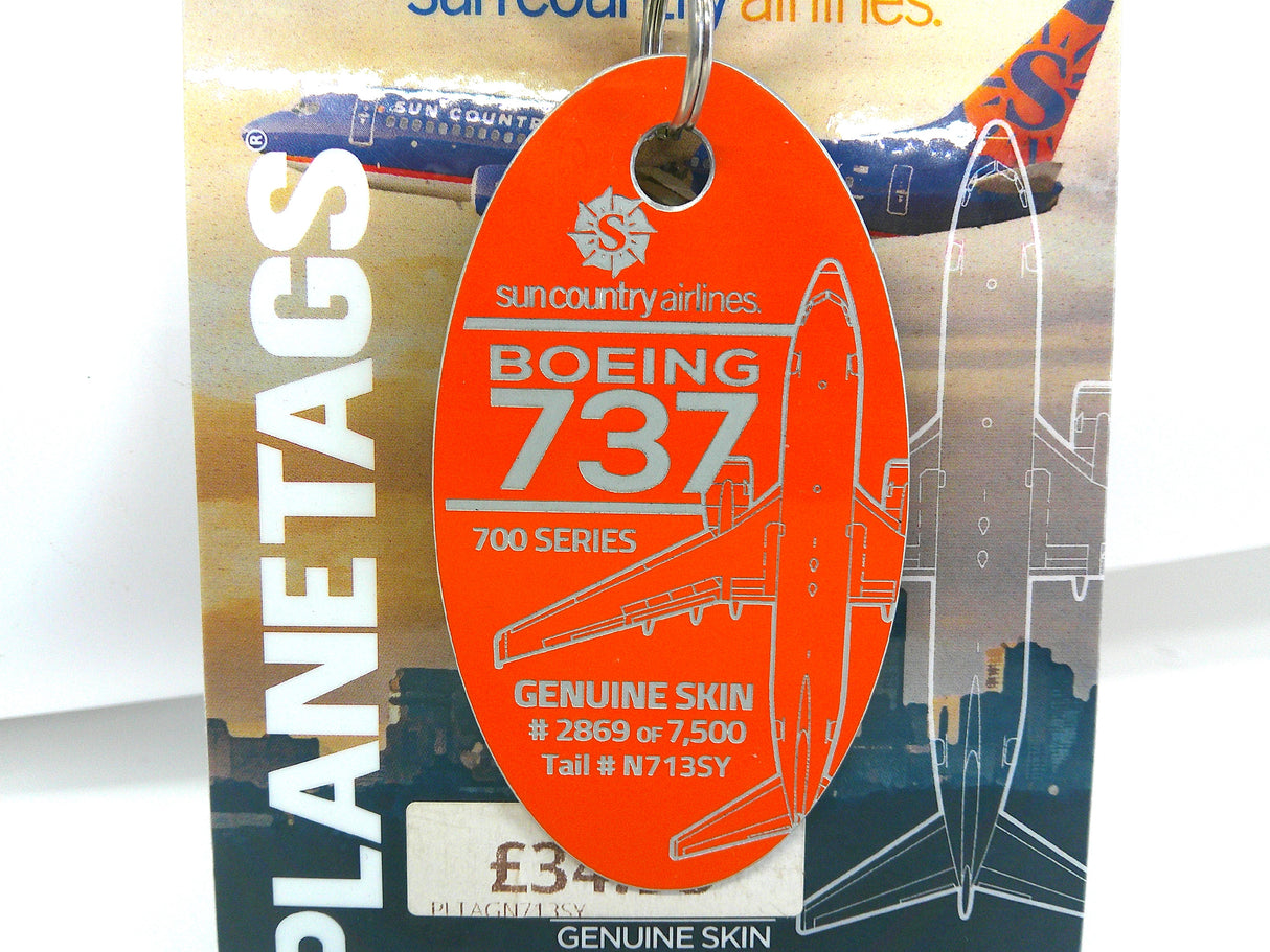 PLTAGN713SY | Gifts Aircraft Skins | Original Aircraft Skin -  Boeing 737-700 Suncountry N713SY