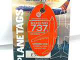 PLTAGN713SY | Gifts Aircraft Skins | Original Aircraft Skin -  Boeing 737-700 Suncountry N713SY