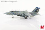 HA5243 | Hobby Master Military 1:72 | Grumman F-14B Tomcat OEF 163220, VF-143 Pukin Dogs, 2002