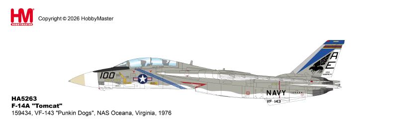HA5263 | Hobby Master Military 1:72 | F-14A "Tomcat" 159434, VF-143 "Punkin Dogs", NAS Oceana, Virginia, 1976