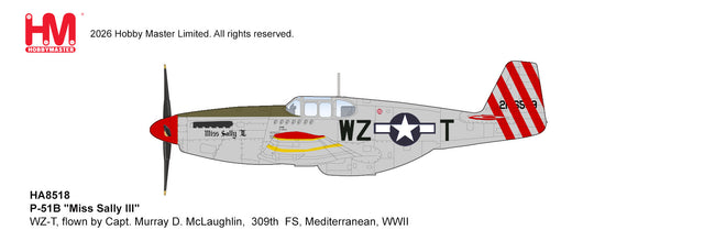 Hobby Master HA8518 P-51B Mustang Miss Sally III